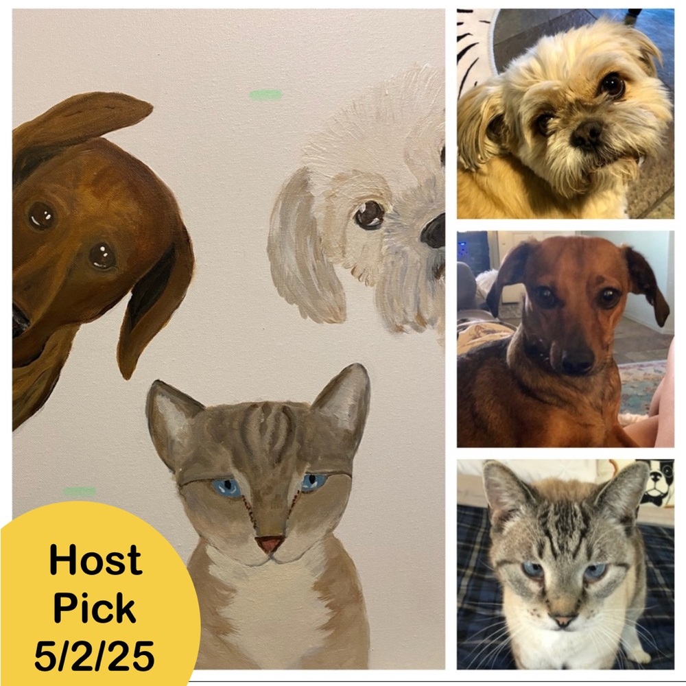 PET PORTRAIT HOST Pick 3/2/24 & 5/2/25 - Picture 2 of 12